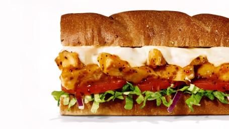 #16 All-Pro Sweet Onion Teriyaki #16 All-Pro Sweet Onion Teriyaki