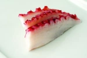 Blæksprutte (Tako) Blæksprutte (Tako)