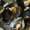 Muslinger Marinere