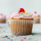 Chokolade Cupcakes Chokolade Cupcakes