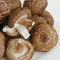 Porcini Svampe Porcini Svampe